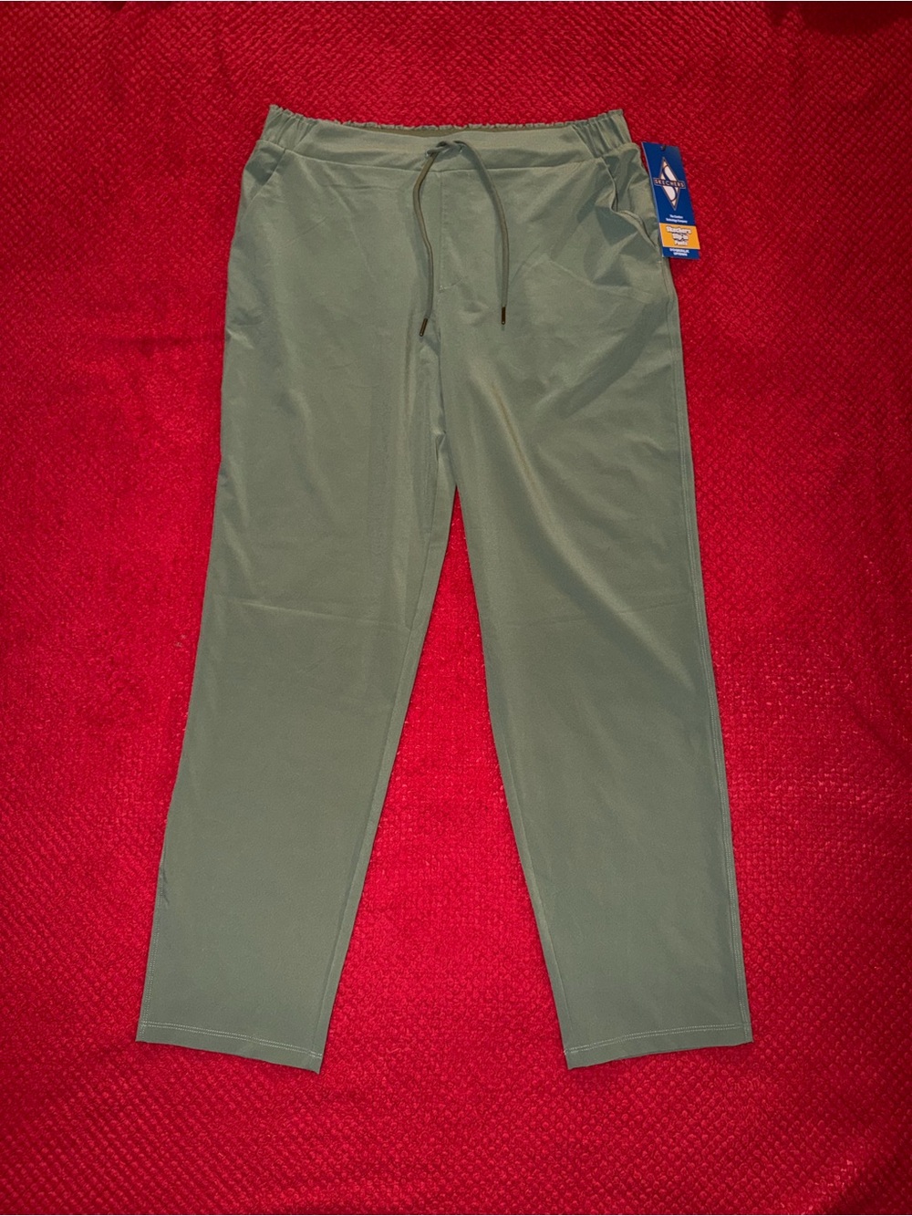 Woman's sketchers slip in pants